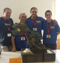 CLUB BONSAI SEXITANO EN ITALIA 14 2
