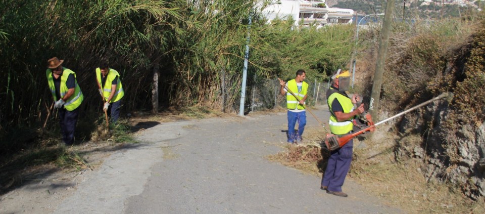 LIMPIEZA CAMINO CEMENTERIO LA HERRADURA 14 2
