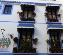 Mención especial concurso fachadas y patios