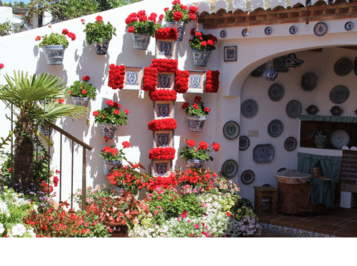 Premios Cruces Mayo La Herradura 2014