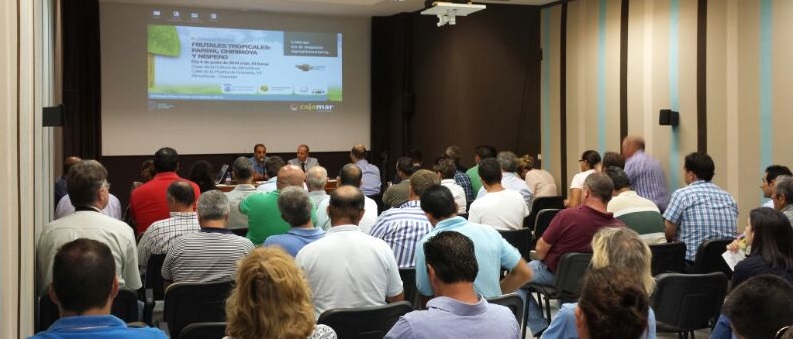 Los agricultores sexitanos conocen nuevos avances en los subtropicales