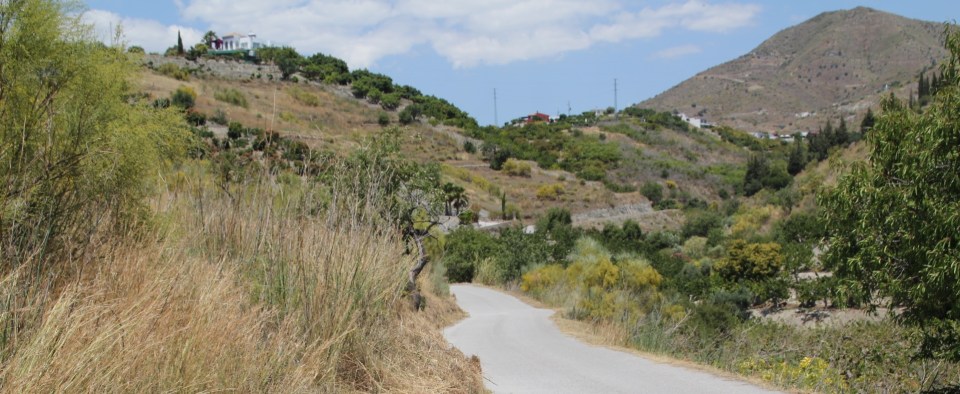 LIMPIEZA CAMINO ACCESO PAGO LA MEZQUITA LA HERRADURA 14 2