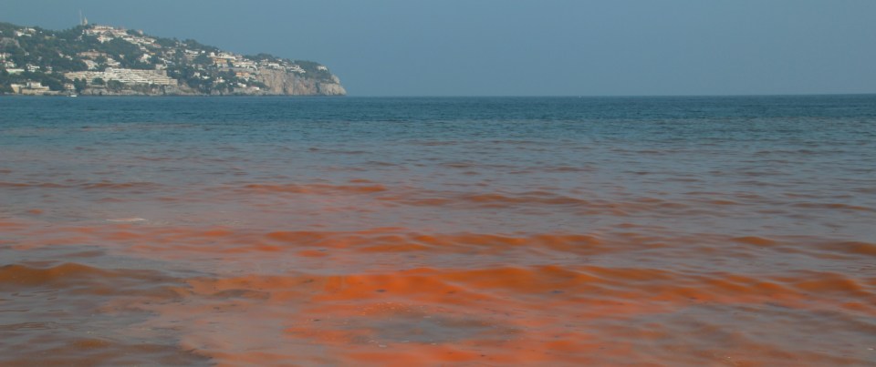 Marea roja en la bahía de La Herradura