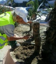 Operario realizando labores de jardinería