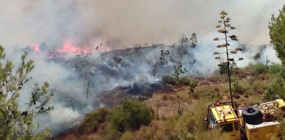 Se declara un incendio en la ladera oeste de Fuentes de Almuñécar