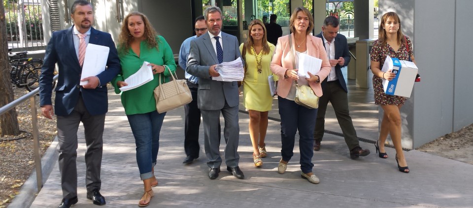 La Costa Tropical presenta 449 al Plan Director de Puertos de Andalucía