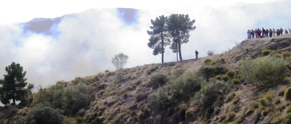 GRUPO SENDERISTAS TESTIGOS DEL INCENDIO CERCA DE LANJARON 14