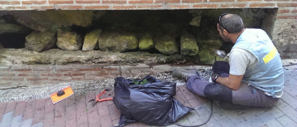 LIMPIEZA CANALIZACION ROMANA SITUADA EN CALLE REAL 14  - copia