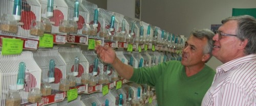 EXPOSICION XXVIII CONCURSO ORNITOLOGICO ALMUÑECAR 2014