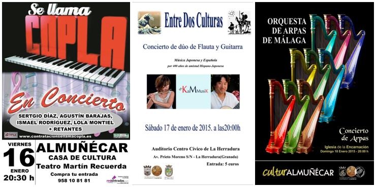 Eventos organizados por Cultura del 16 al 18 de enero de 2015