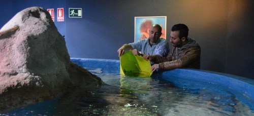 TECNICOS DEPOSITAN NUEVAS ESPECIES ACUARIO ALMUÑECAR 2