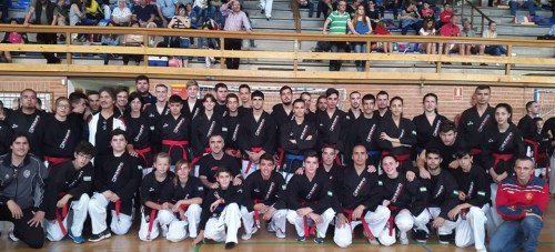 Éxito del Kenpo sexitano en el Campeonato de España 2015 CAMPEONATO KENPO ESPAÑA 15 2
