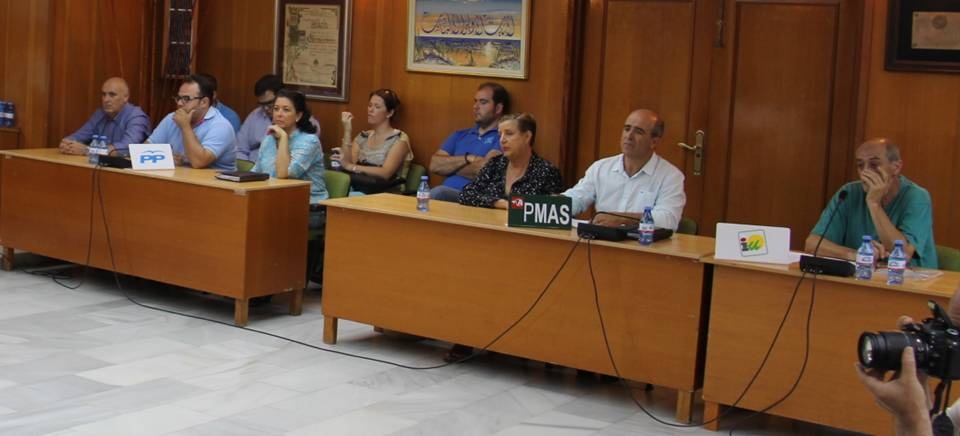 PLENO AYTO ALMUÑECAR 25 JUNIO15 2