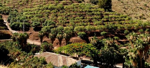 Ruta de senderismo por el Valle Tropical de Río Verde