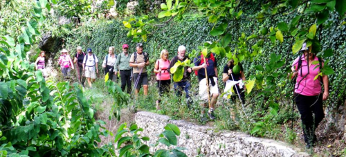 Senderistas sexitanos recorrieron los bosquetes tropicales entre Lentegí y Otívar
