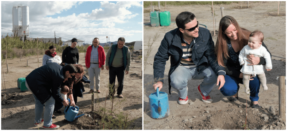 El ‘Bosque de la Vida’, en el humedal de la ‘Charca de Suárez’, crece con la nueva plantación de árboles