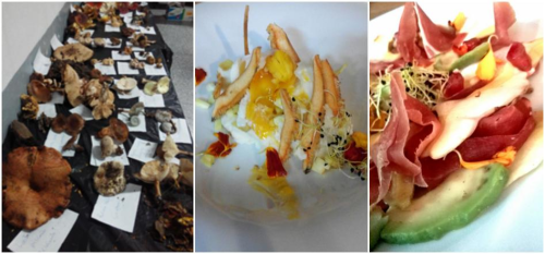 Miguel A. Castilla, chef del restaurante Reina Sofía de Almuñécar, participó en las 'V Jornadas Micológicas' de Mairena