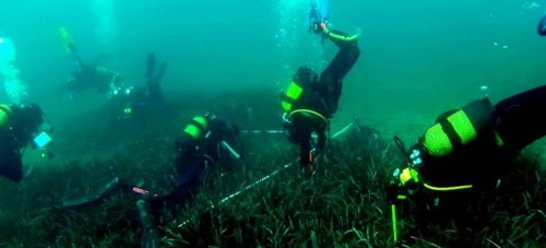 Medio Ambiente inicia una nueva campaña para el seguimiento de las praderas de Posidonia oceánica