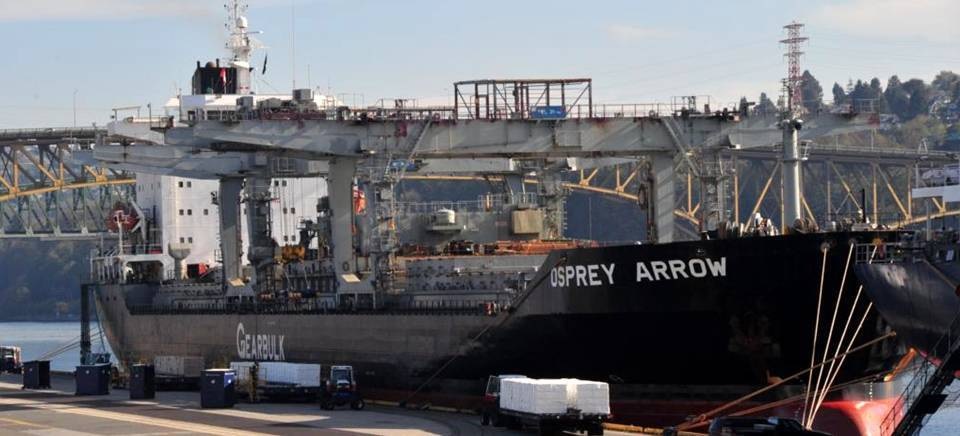 Un buque de 200 metros de eslora atraca en el Puerto de Motril este lunes