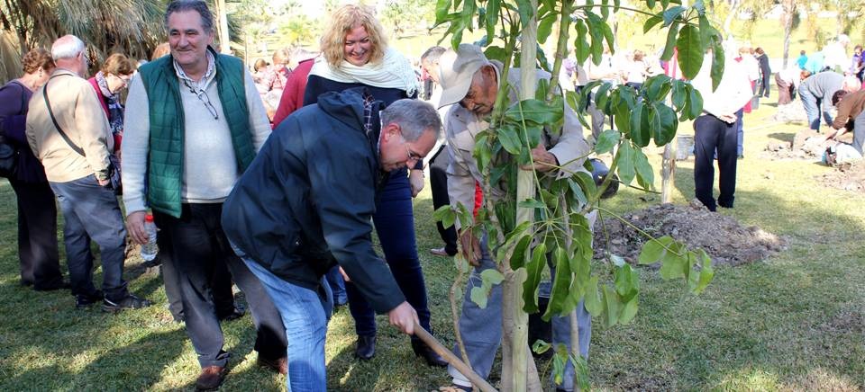 Reforestación parque de las provincias en Motril
