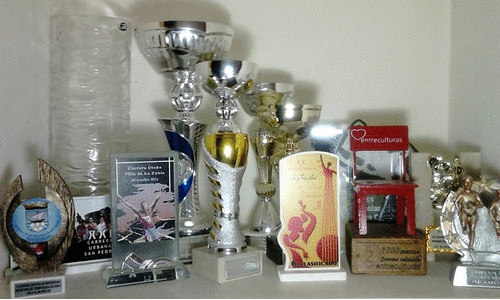 Trofeos y medallas de Alfonso Gómez Carrasco