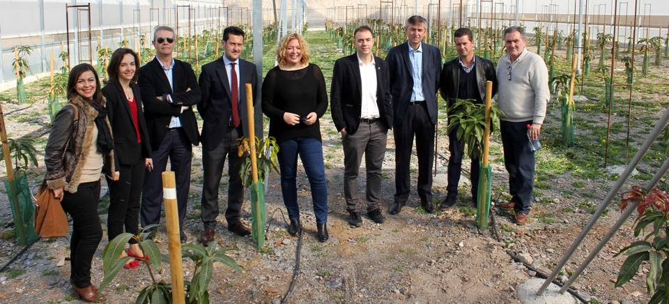 La alcaldesa y el delegado de Agricultura visitan la finca experimental de subtropicales de la empresa ‘La Caña’