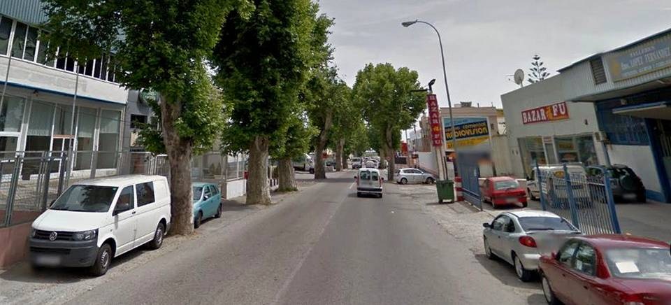 La concejalía de Parques y Jardines inicia la poda del arbolado del ‘Kilómetro 1’