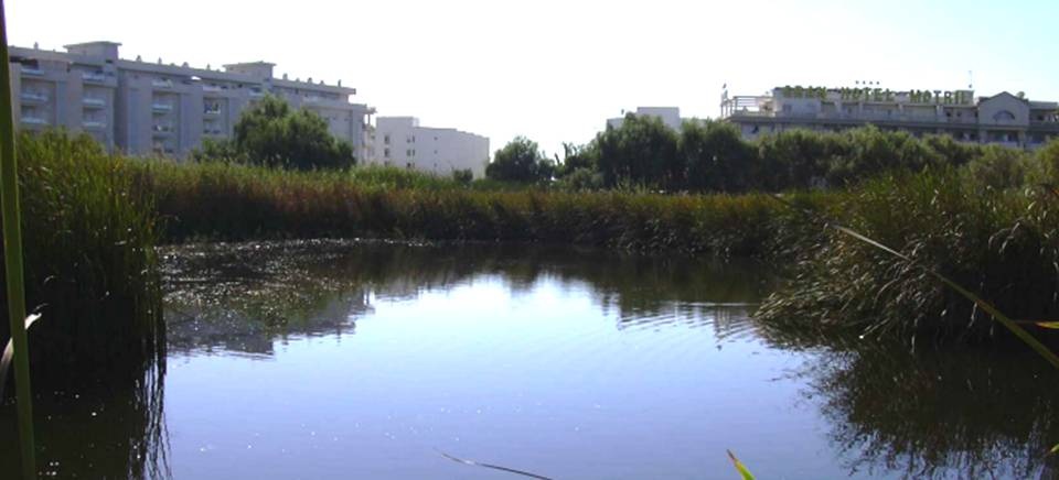 Charca Suárez, en Motril