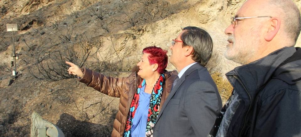 Diputación traslada su respaldo a los municipios afectados por el incendio en la Alpujarra