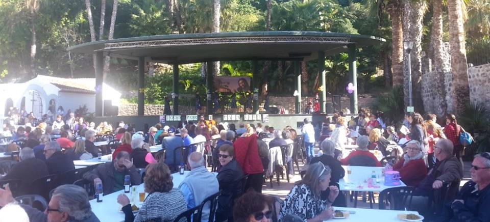 Gran participación en el Festival Solidario de ayuda a Alejandra Pozo Martín