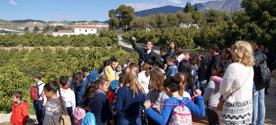 Alumnos de primaria conocen los frutos subtropicales de mano del ‘Grupo La Caña’.jpg