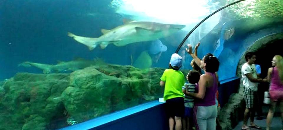 El Acuario y Loro Sexi fueron visitados esta Semana Santa por casi 2.500 personas