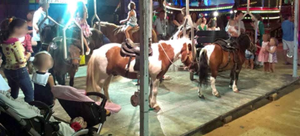 En las fiestas de San José de La Herradura no habrá atracciones con ponis