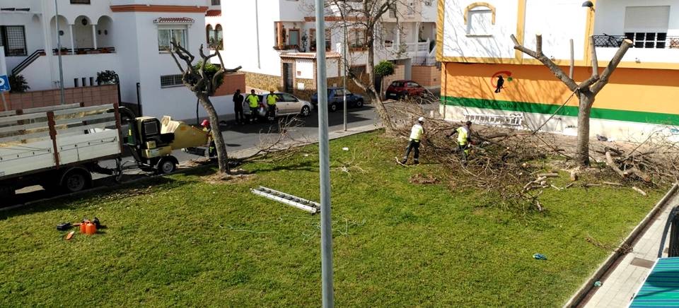 Ciudadanos Motril consigue que comiencen los trabajos de mantenimiento del jardín de la calle La Mancha