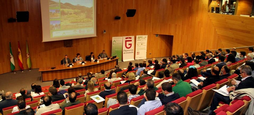 Diputación acoge una jornada sobre los beneficios de la vegetación en las carreteras