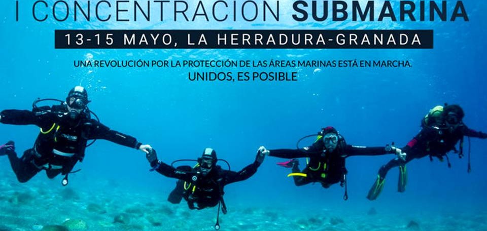 Buceadores de toda España se unen para reivindicar el Equilibrio Marino en el Paraje Maro-Cerro Gordo
