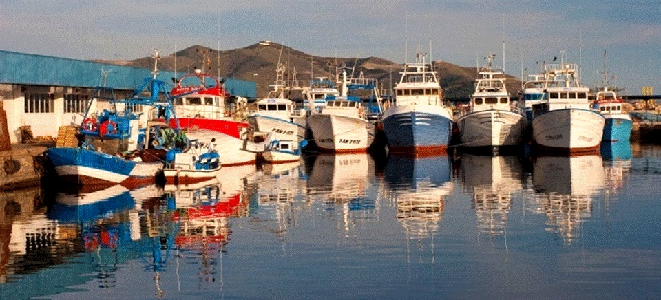 El Grupo de Acción Local de Pesca Costa Granada Afirma que las ayudas al sector pesquero siguen sufriendo  El BLOQUEO DEL MINISTERIO DE PESCA