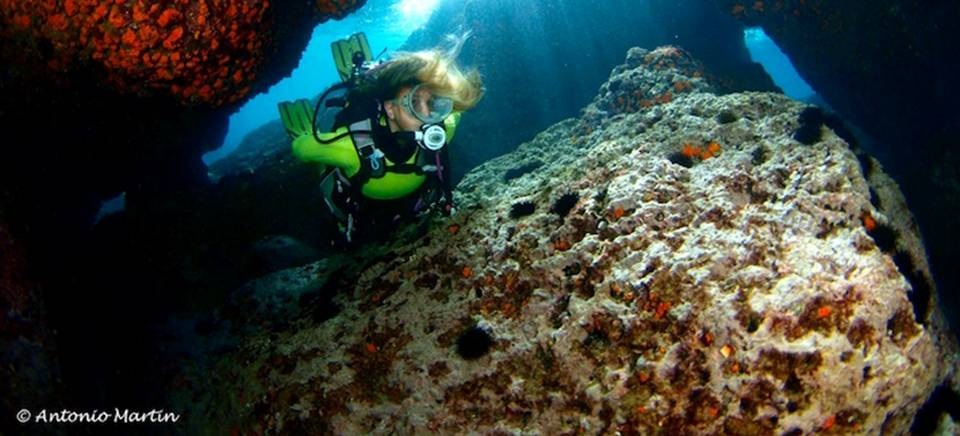 Celebrado el Campeonato de Andalucía de Fotografía Submarina en La Herradura