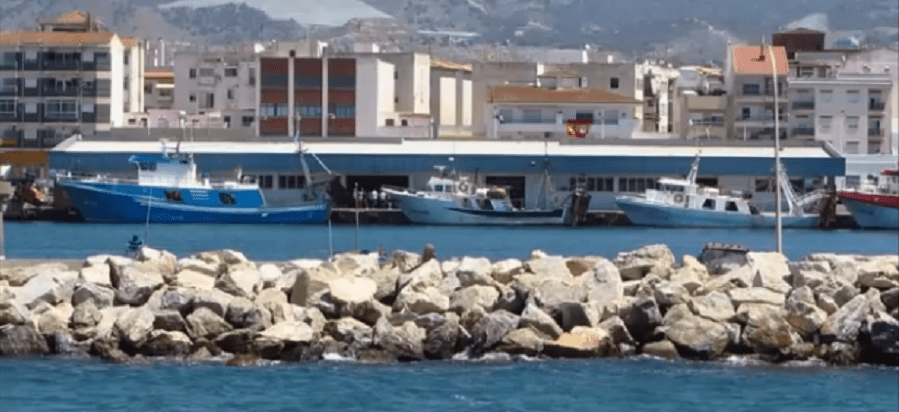 Abierto el plazo para realizar alegaciones y subsanar errores en las solicitudes de ayudas por parada biológica