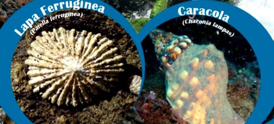 Almuñécar acoge la Semana del Medio Ambiente sobre su litoral del 6 al 12 de julio