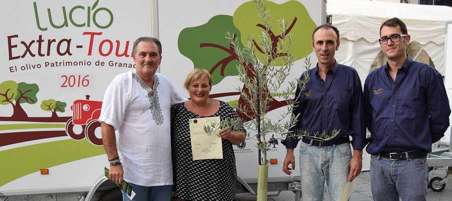 Motril acoge la exposición itinerante sobre el olivo ‘Lucio, Extra-Tour’