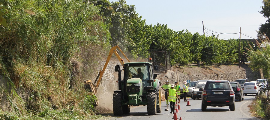 la-concejalia-de-agricultura-limpia-y-acondiciona-la-carretera-de-acceso-a-motril-por-los-candelones