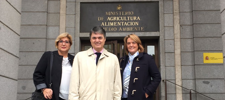 el-pp-traslada-a-medioambiente-la-necesidad-de-solventar-los-problemas-de-regeneracion-de-las-playas-de-motril