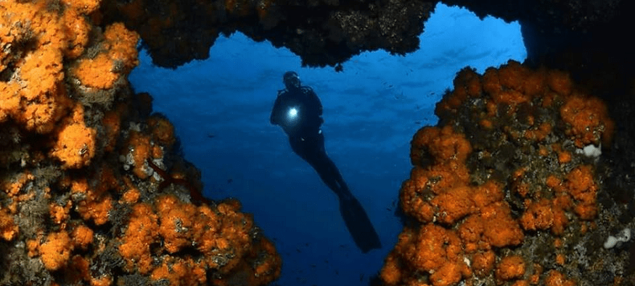 la-herradura-acoge-el-28o-campeonato-de-espana-de-fotografia-submarina-y-el-18o-campeonato-de-video-submarino