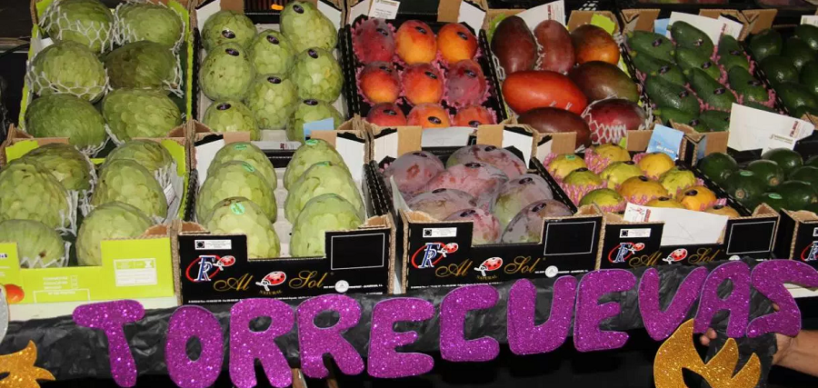 torrecuevas-celebra-hoy-su-dia-grande-de-la-56a-fiesta-de-la-chirimoya-con-la-procesion-de-la-virgen-madre_