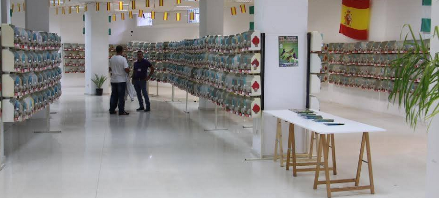 casi-1-800-ejemplares-participan-en-el-xxx-concurso-ornitologico-ciudad-de-almunecar