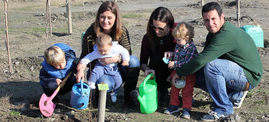 63-familias-participan-en-una-nueva-plantacion-del-bosque-de-la-vida