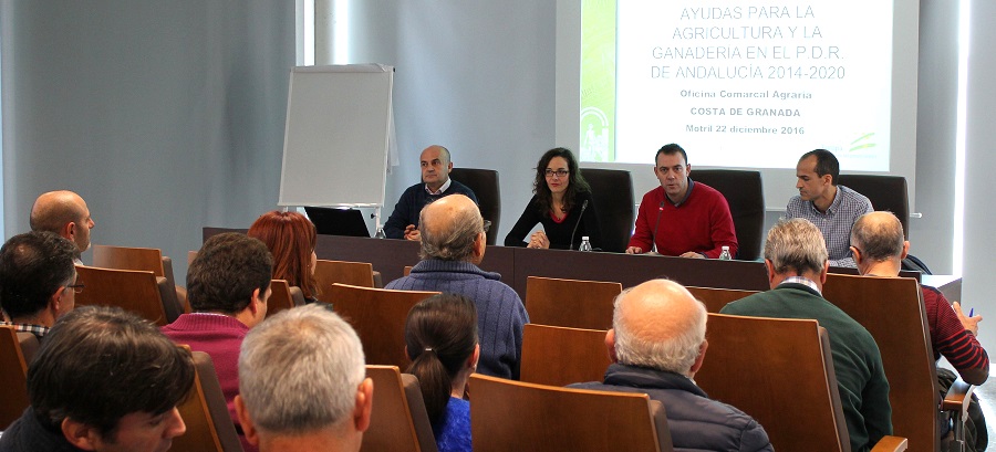 agricultores-de-motril-y-la-comarca-resuelven-sus-dudas-sobre-las-ayudas-para-modernizar-los-invernaderos