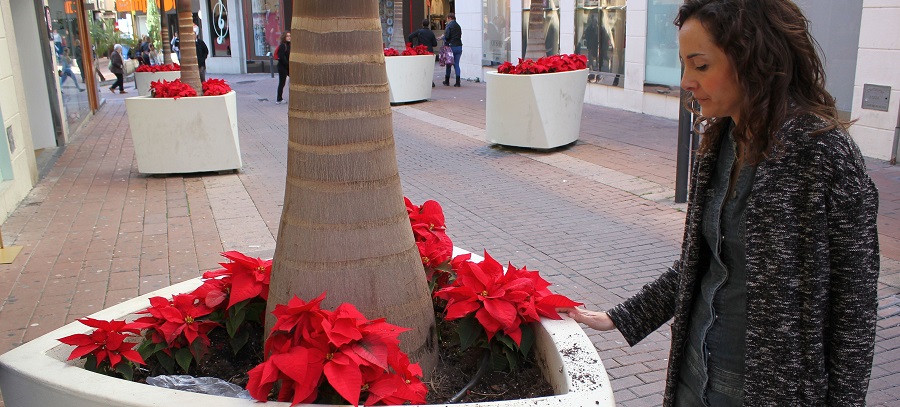 parques-y-jardines-denuncia-los-actos-vandalicos-en-el-centro-donde-se-han-arrancado-decenas-de-pascueros