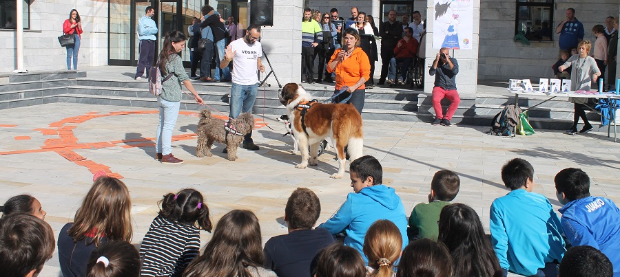 salobrena-celebra-el-dia-internacional-de-las-personas-con-discapacidad